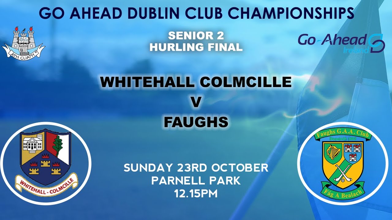 Go Ahead Dublin Senior 2 Hurling Final