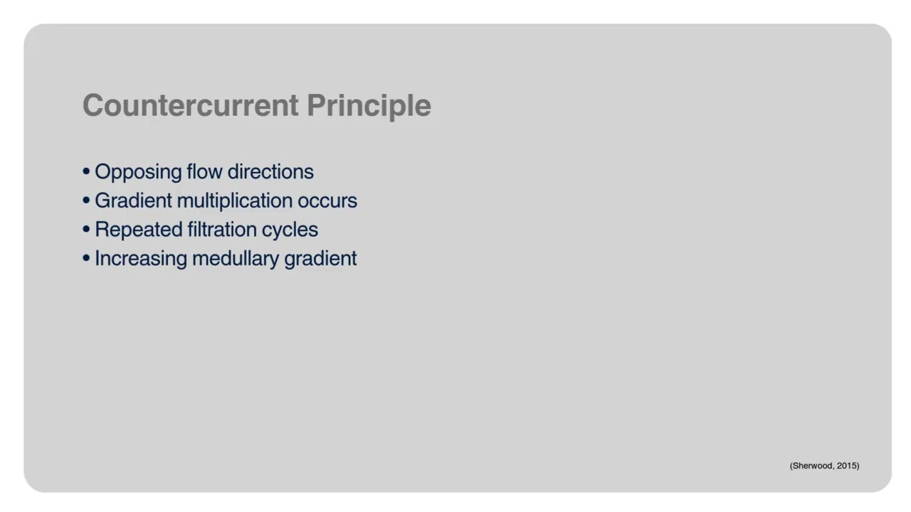 Countercurrent Multiplication