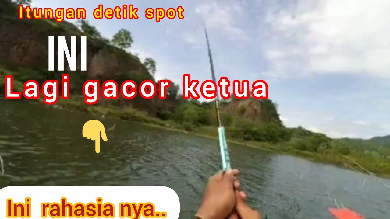 Tarik Ikan Sebesar Apa ...??  Itungan Detik Mancing Di Spot Ini 