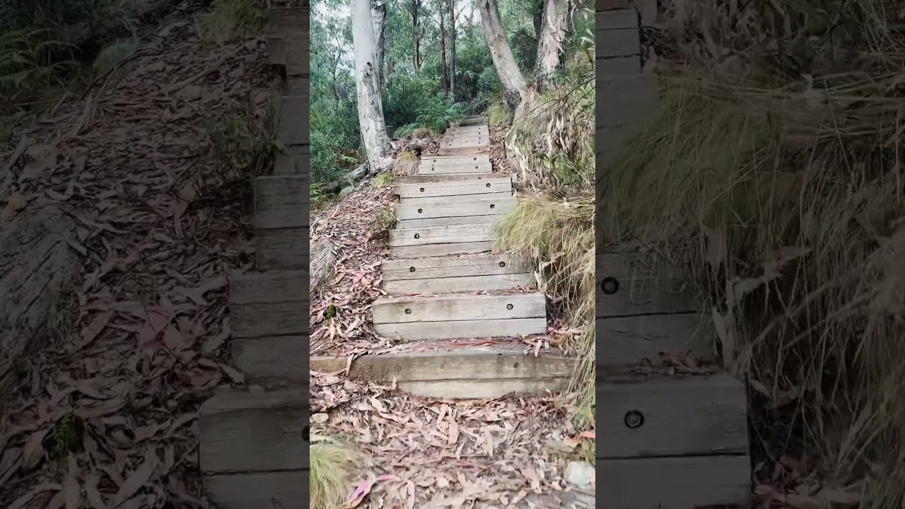 Hike with us from Corin Dam to Mt Franklin Road 🏃‍♂️🏃‍♀️ 