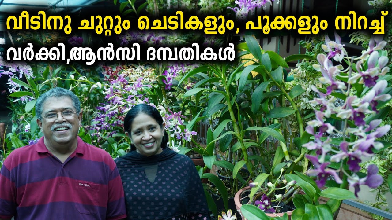 ചെടികളെ സ്നേഹിച്ച് ജീവിതം ആഘോഷമാക്കിയ ദമ്പതികൾ | Home Garden Tour Malayalam