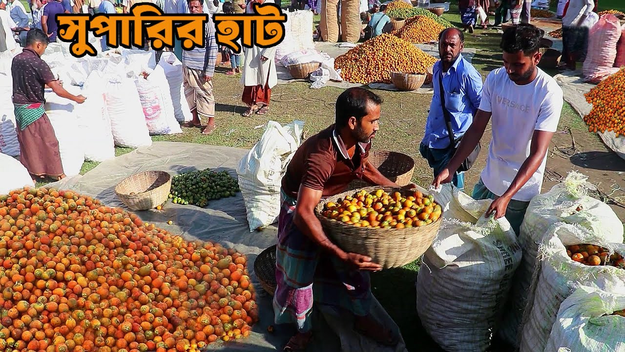পিরোজপুরের কাউখালী সুপারির হাট || Panorama Documentary