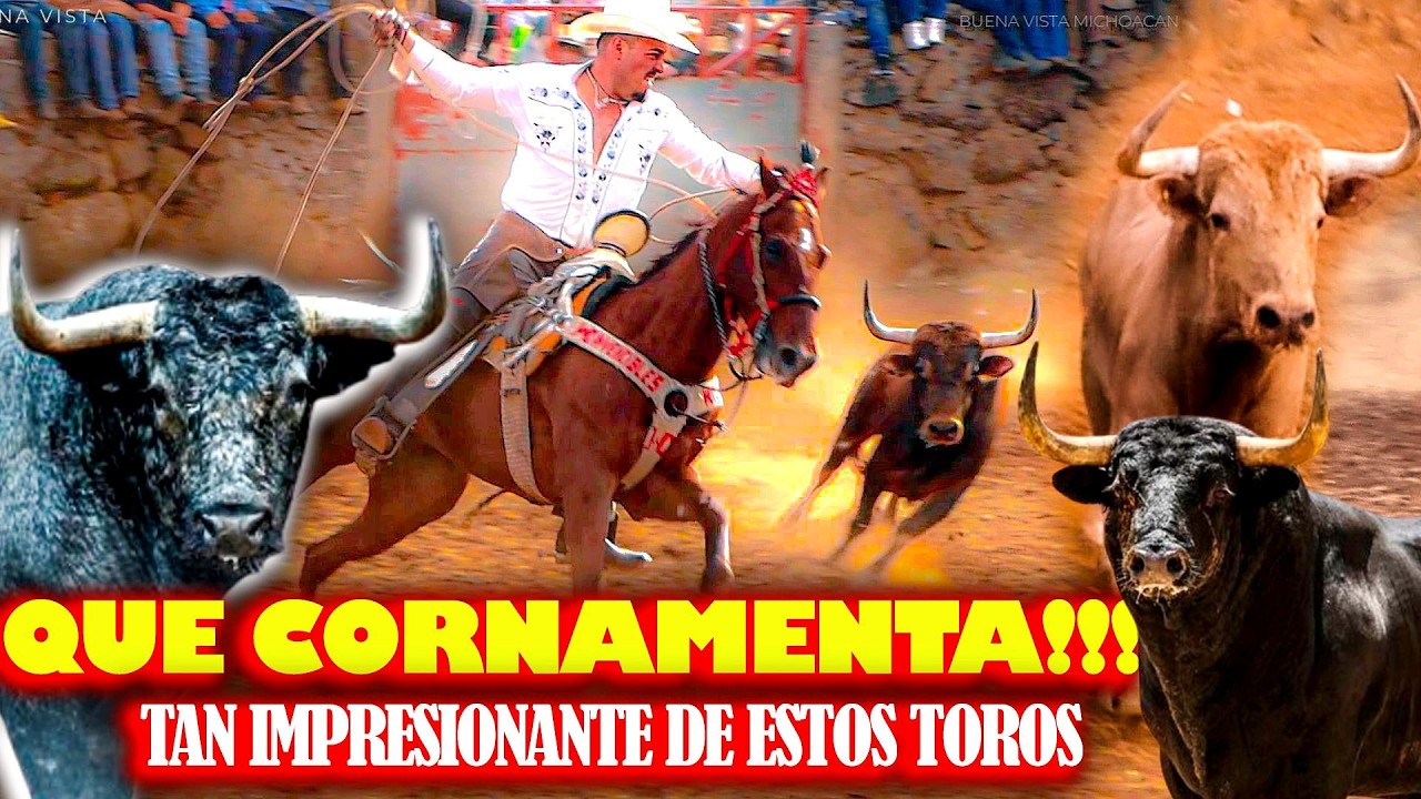Chulada de Toros nos regalaron buenas Jugadas En BUENA VISTA Michoacan #Jaripeodelazo