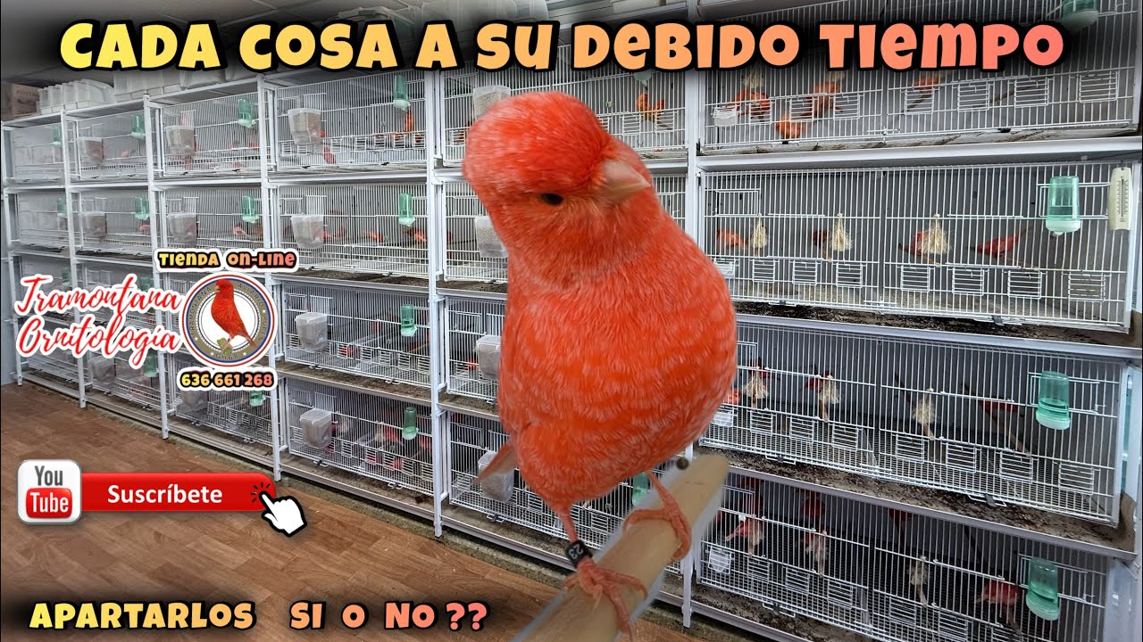 Cada cosa a su debido tiempo!!