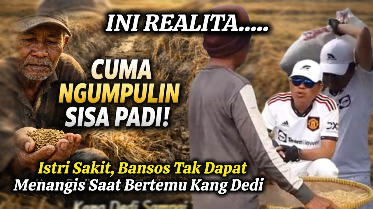Kang Dedi Kaget‼️ Bapak Ini Makan dari Sisa Panen Orang… Tapi Tak Pernah Dapat Bansos.