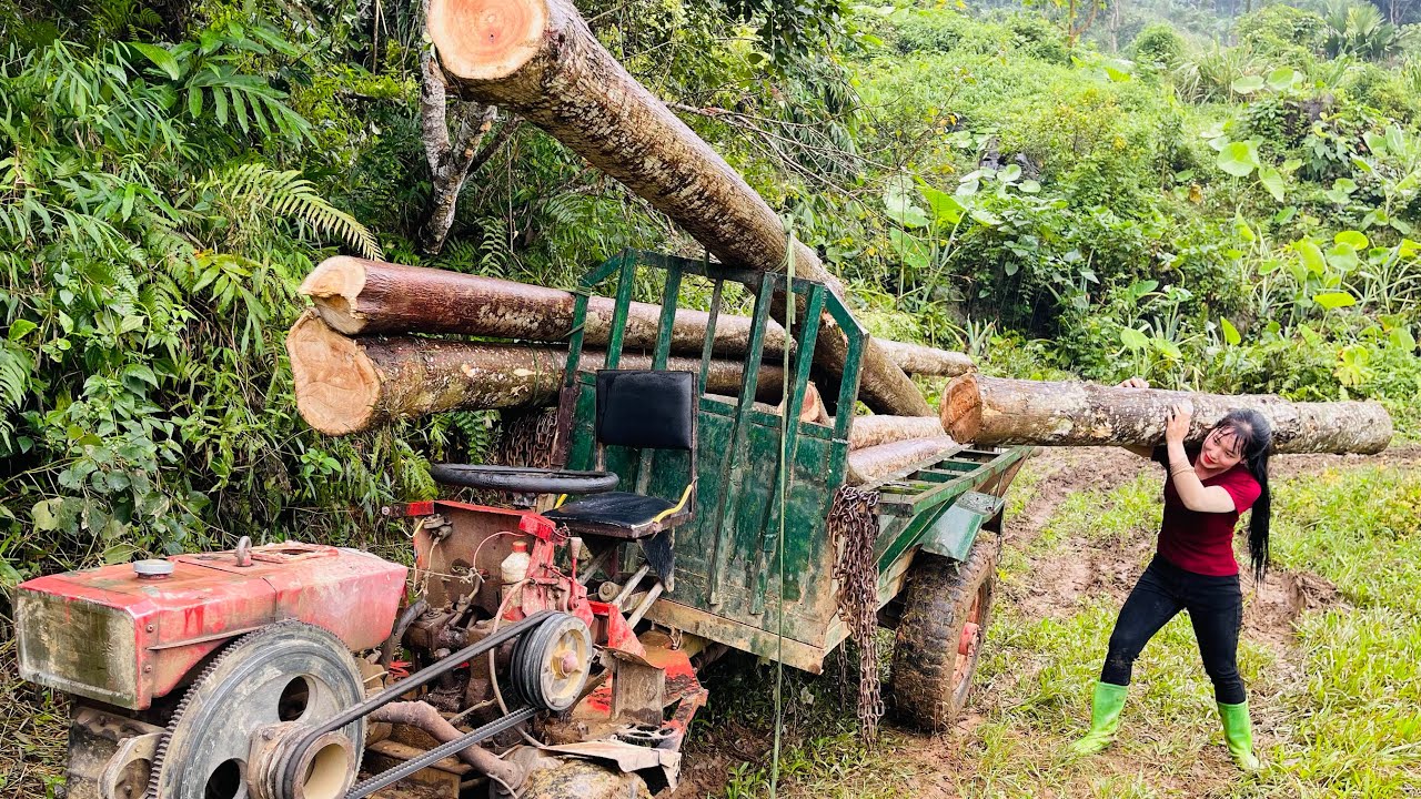 agricultural transport vehicle girl alone chopping and loading wood onto the vehicle