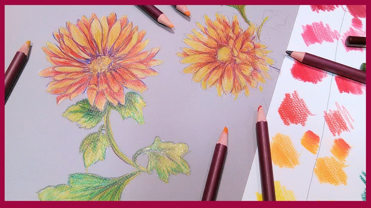 Fall Flowers in Colored Pencil // Colourblend Pencil Demo