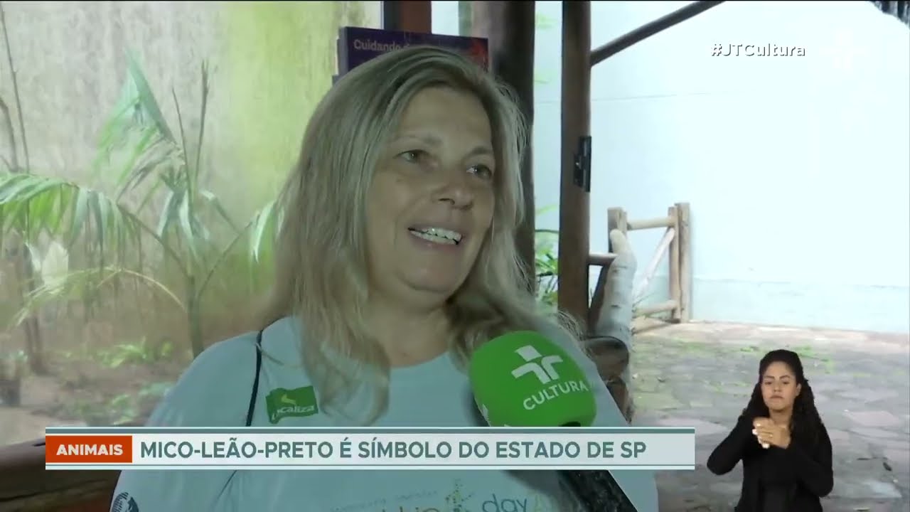 Dia Nacional do Mico-le&atilde;o: animal s&iacute;mbolo do estado de SP est&aacute; em perigo de extin&ccedil;&atilde;o