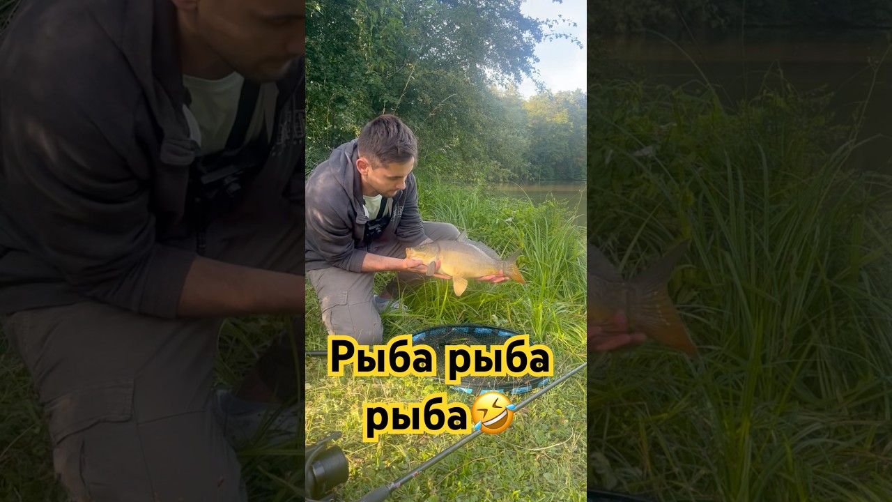 Red halibut pellets in Action 🫶🏻 #fishing #carpfishing #carp