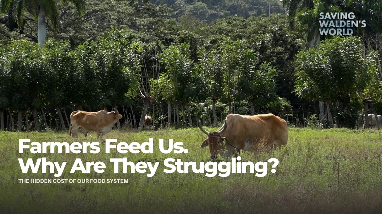 Why Farmers Are Underpaid (And Why It&rsquo;s a Global Crisis)