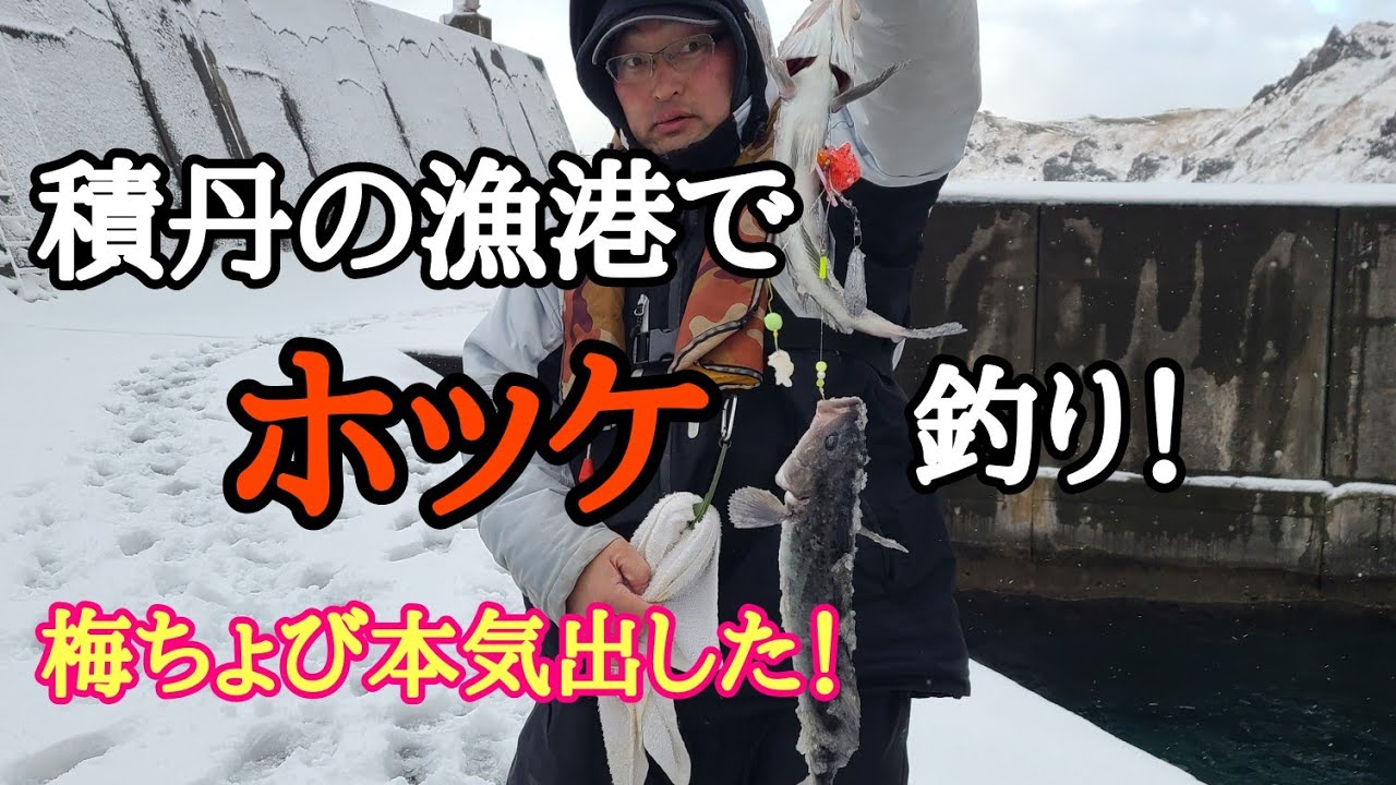 積丹の漁港でホッケ釣り！