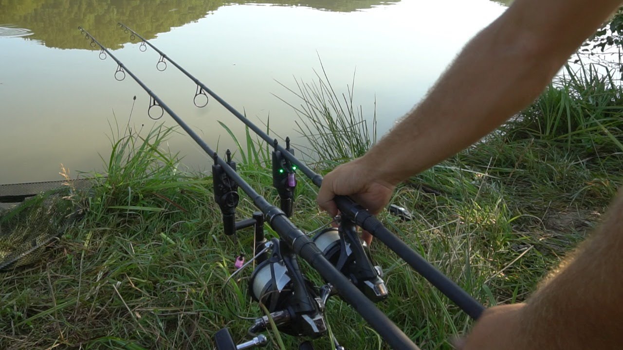 Carp Run Compilation -   Carpfishing DWFishingteam