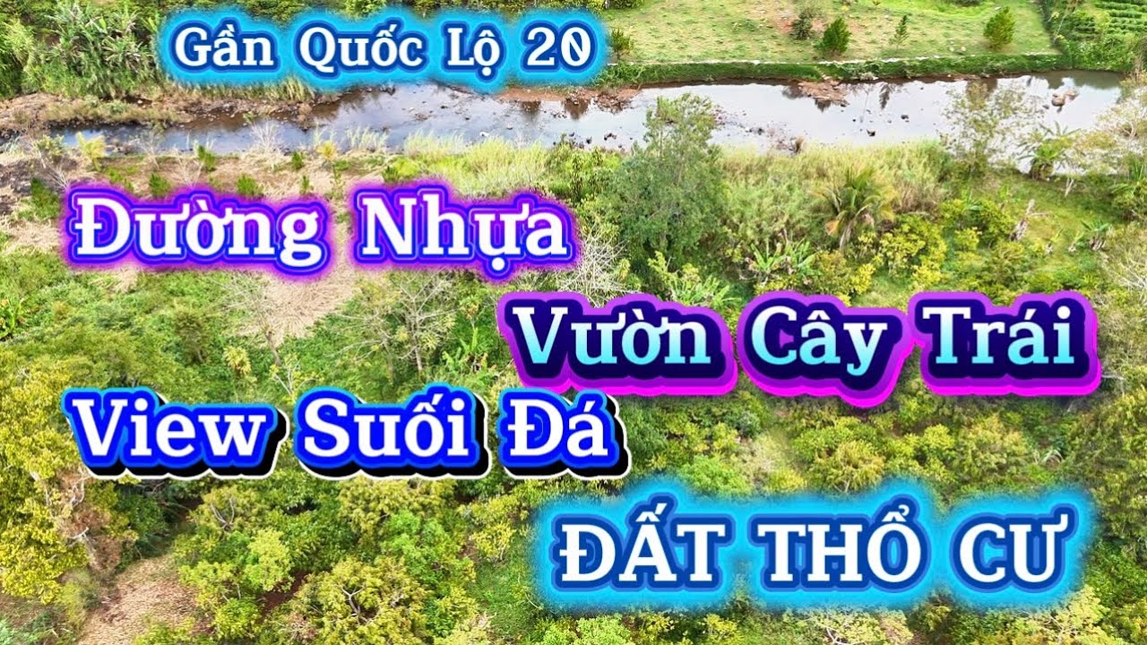 Đẹp Rẻ 