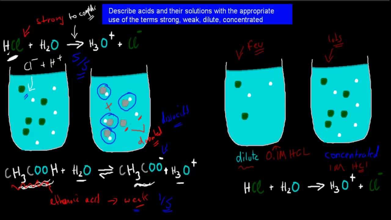 3. Strong, weak, dilute and concentrated acids (HSC chemistry)