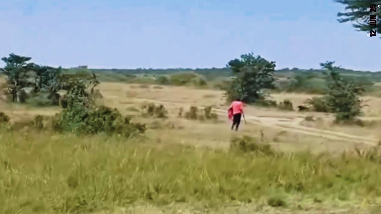 Very Disturbing Video | Herders attacking Topi Pride Lionesses with Machetes | 12 June 2025