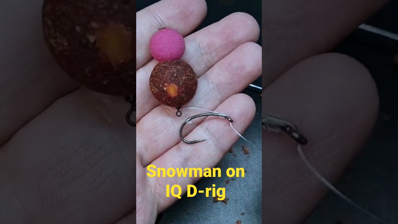 Snowman on IQ D-rig for Carp Fishing