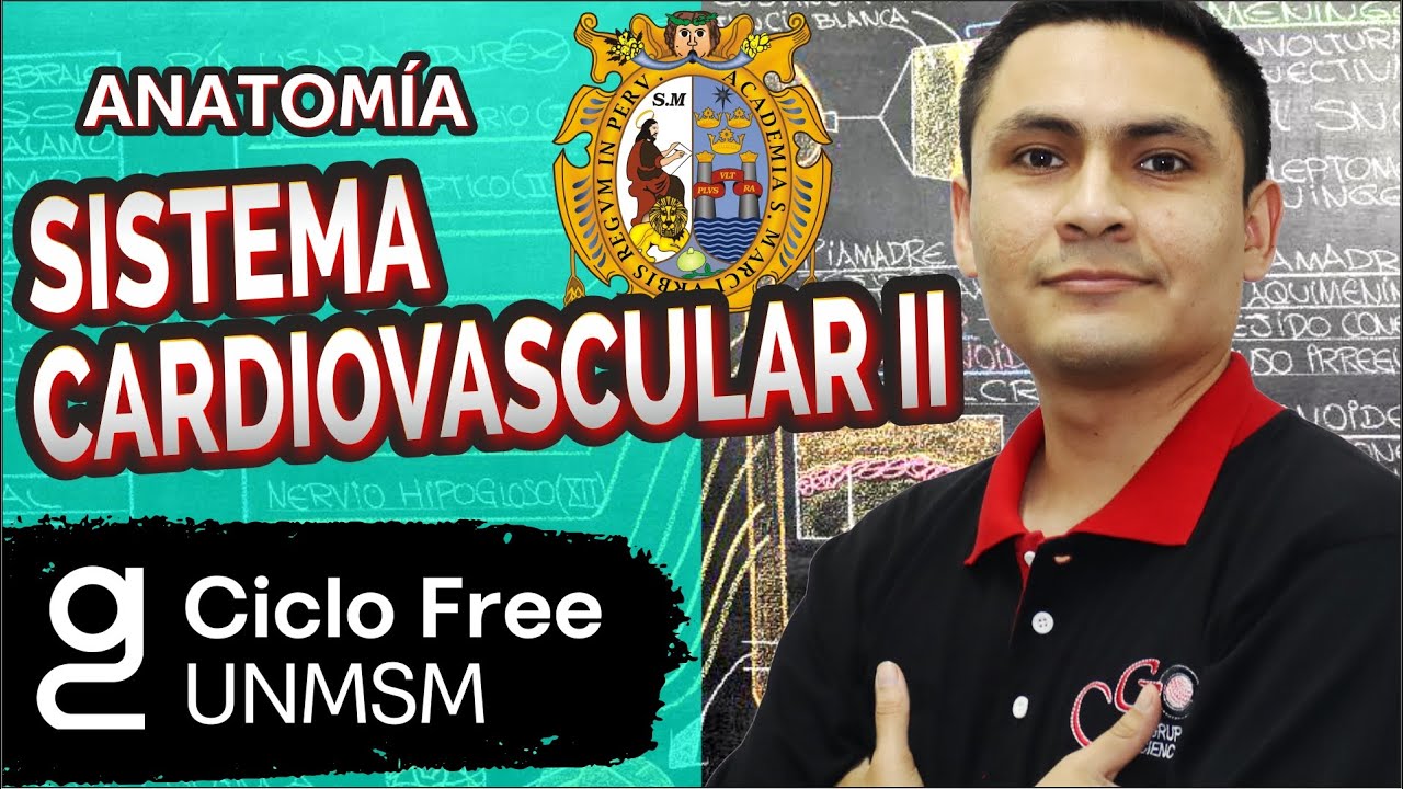 ANATOMÍA - Sistema Cardiovascular Parte 02 [CICLO FREE]