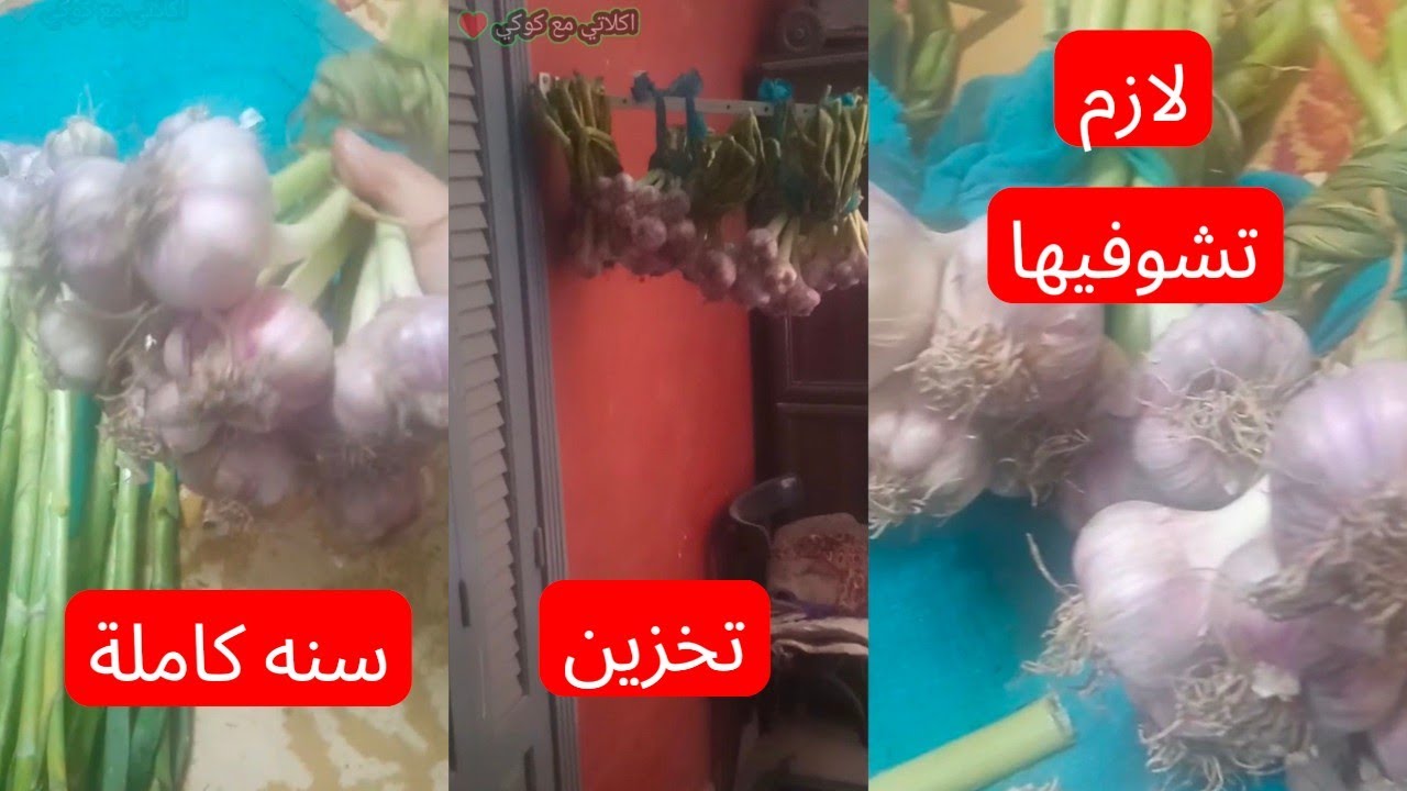 طريقه تخزين الثوم 🥰 سنه كامله محفوظ بجوده عاليه 💋 احلي طريقه واسهل طريقه ممكن تشوفيها 🥰
