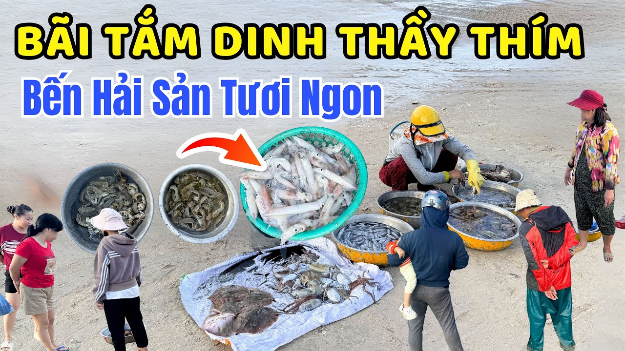 Khám Phá Bãi Tắm Dinh Thầy Thím – Bãi Biển Và Bến Hải Sản Hấp Dẫn Nhất Ở Lagi! 🐚