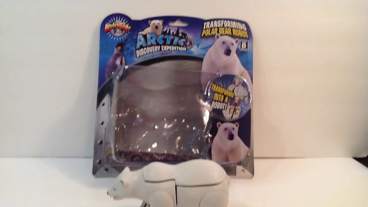 Polar Bear Transformation Review