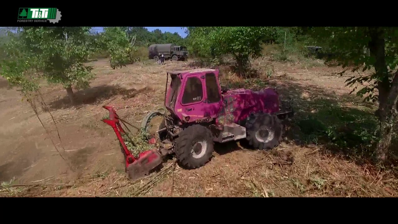 MERLO TREEMME traktor leśny, maszyny leśne, mulcher, las, utrzymanie zieleni