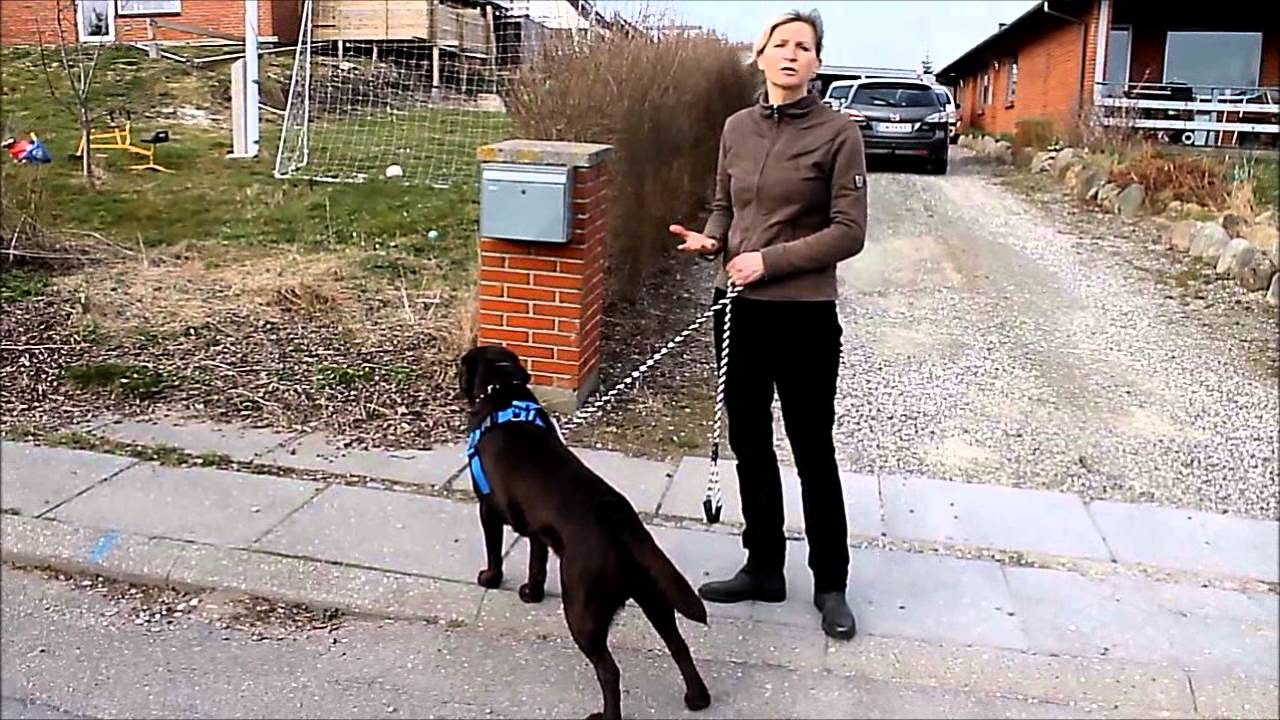 VGWBälte-test-short