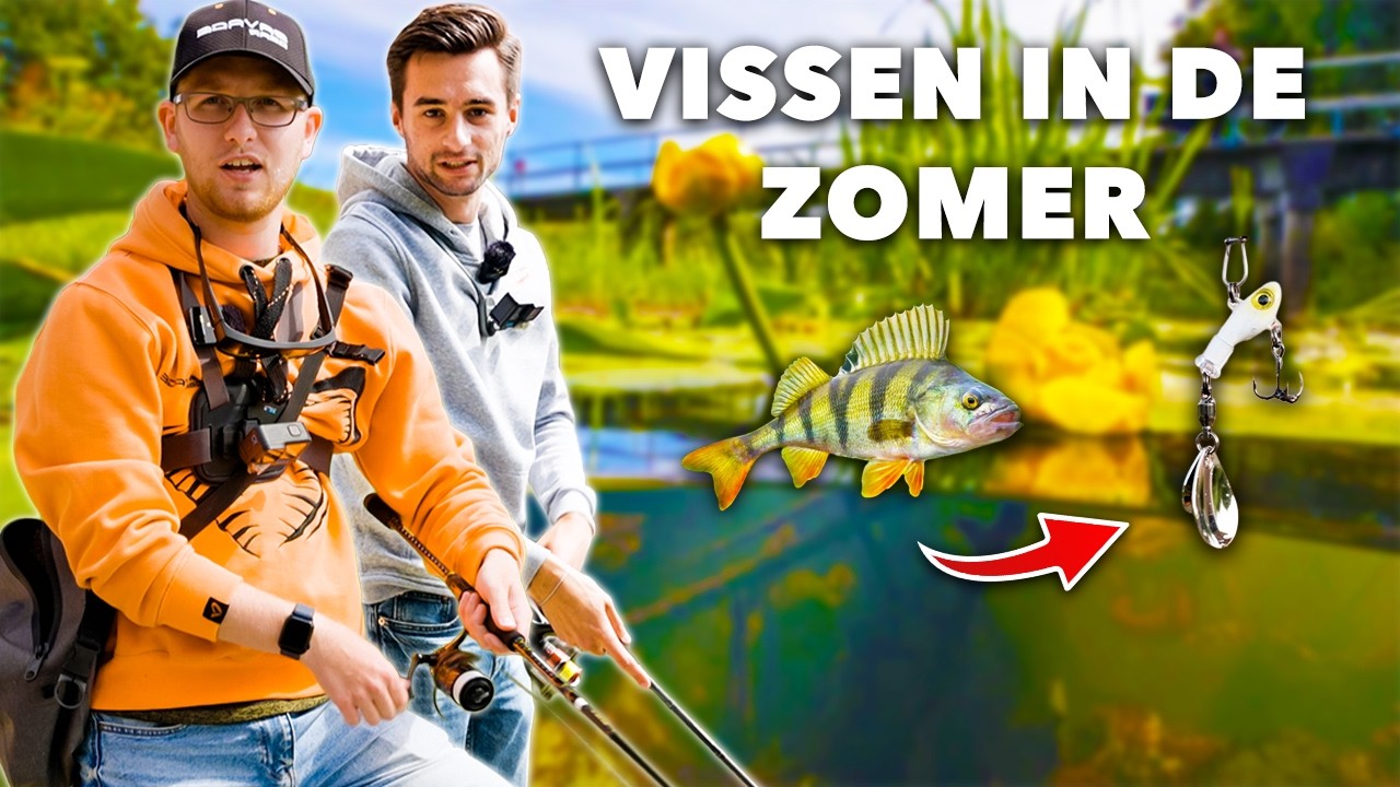 Zo VANG jij ALLE ROOFVISSEN in je EIGEN WOONWIJK!