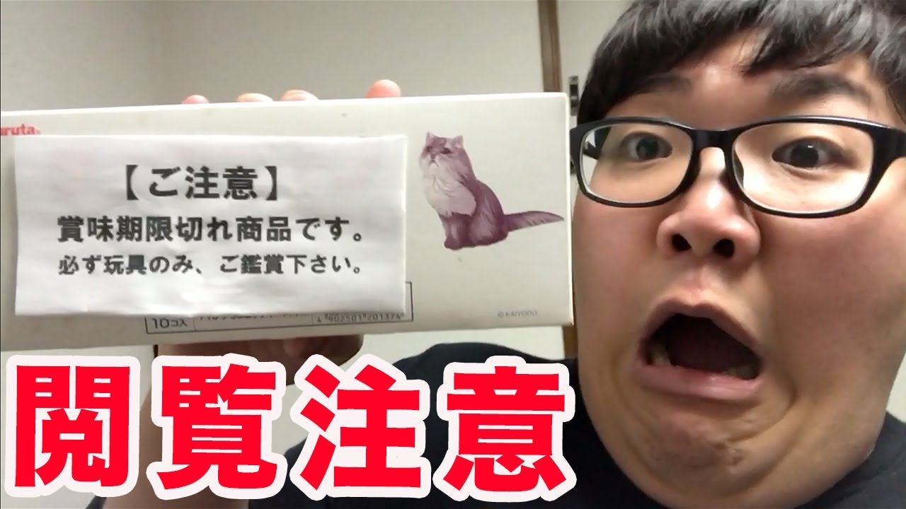 【賞味期限切れ】16年前のチョコエッグを開封してみた