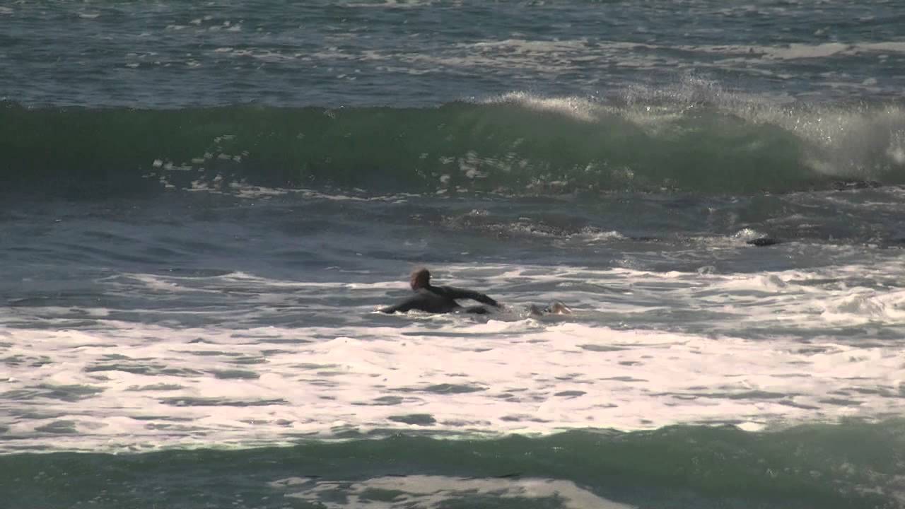 Dirt Episode Two - Sharks vs Humans