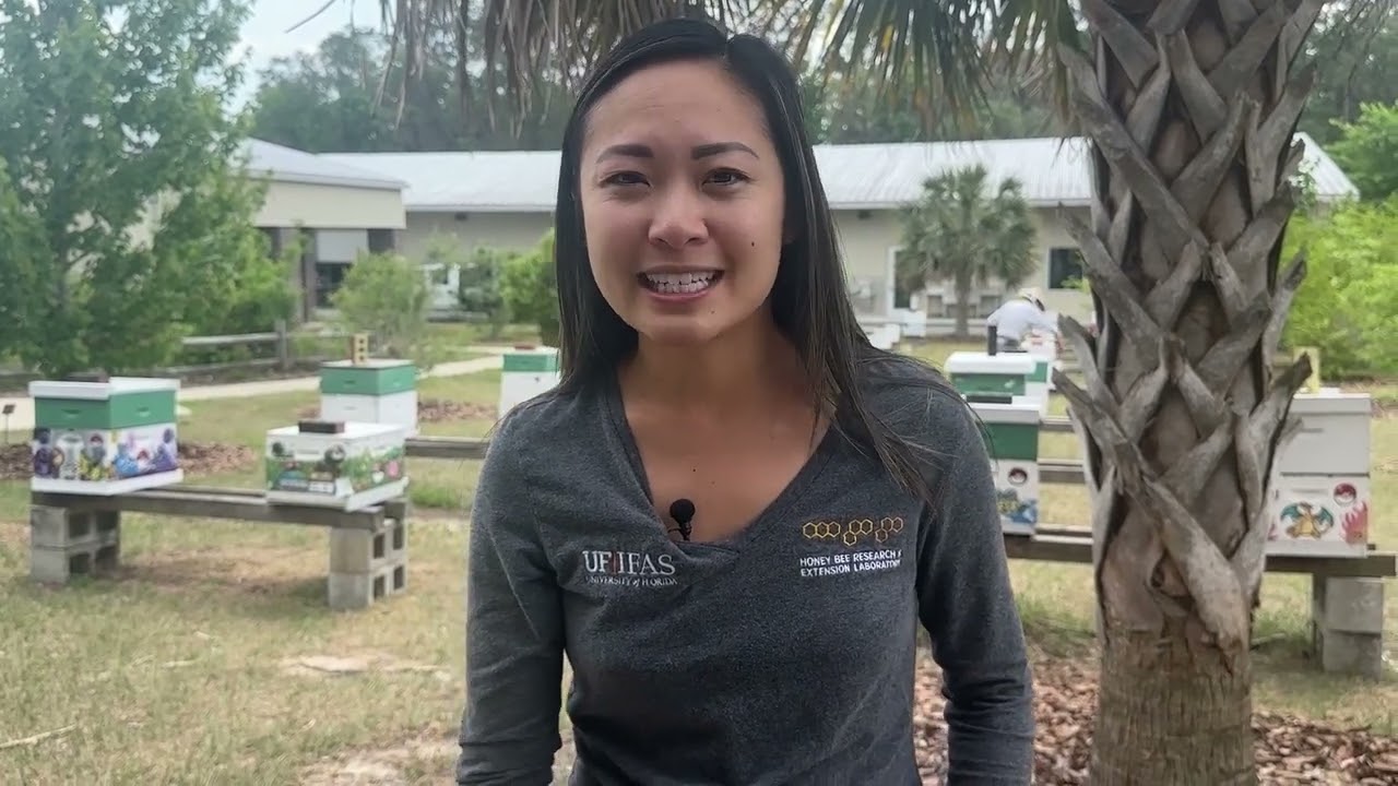 Apimondia 2025 - Bridging beekeeping practices, promo video