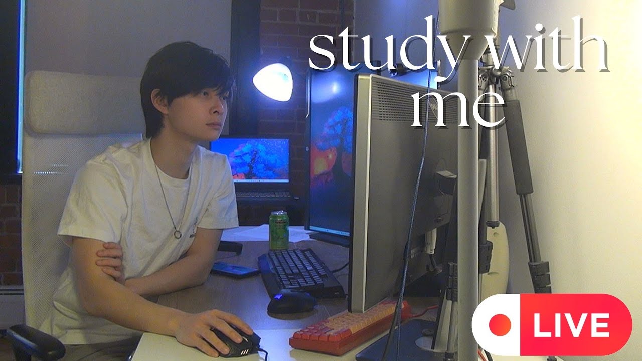 study with a doc | MD | study with me live | 50/10 | fireplace/lofi | Sunday Prep Day