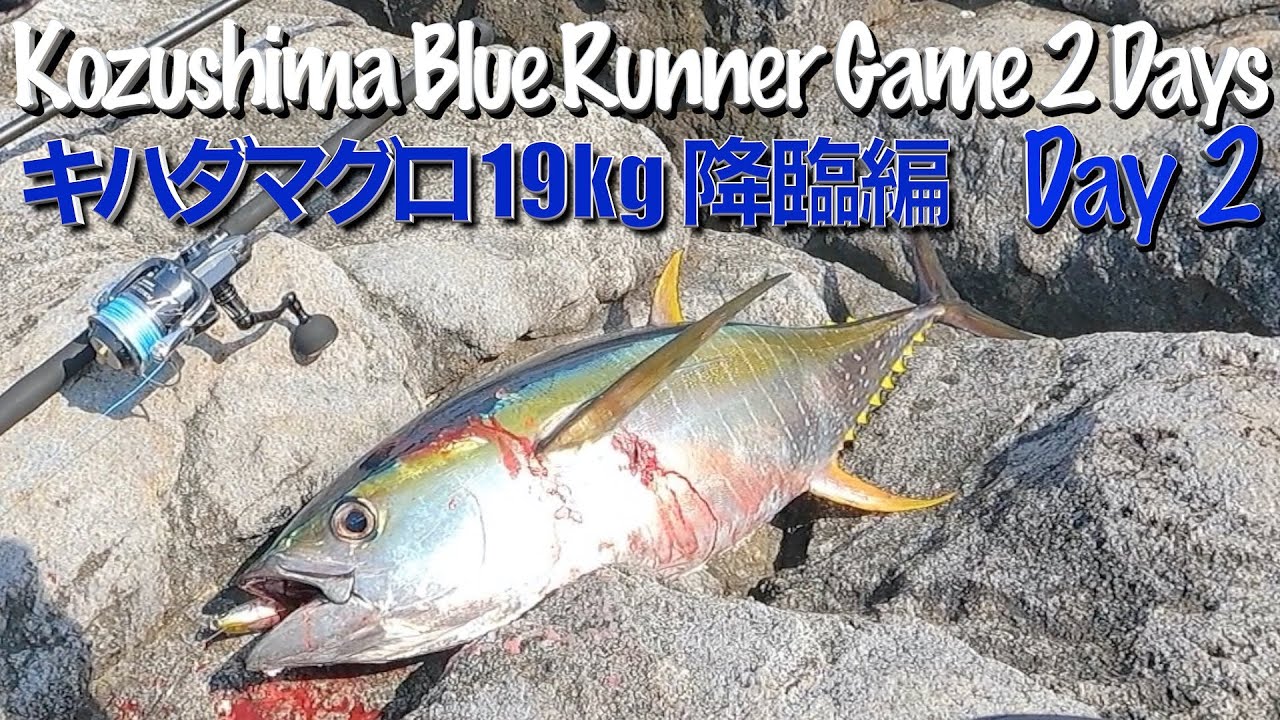 [キハダマグロ19kg降臨編] 伊豆諸島 神津島青物ゲーム 2DAYS kozushima Blue Runner Game 2Days