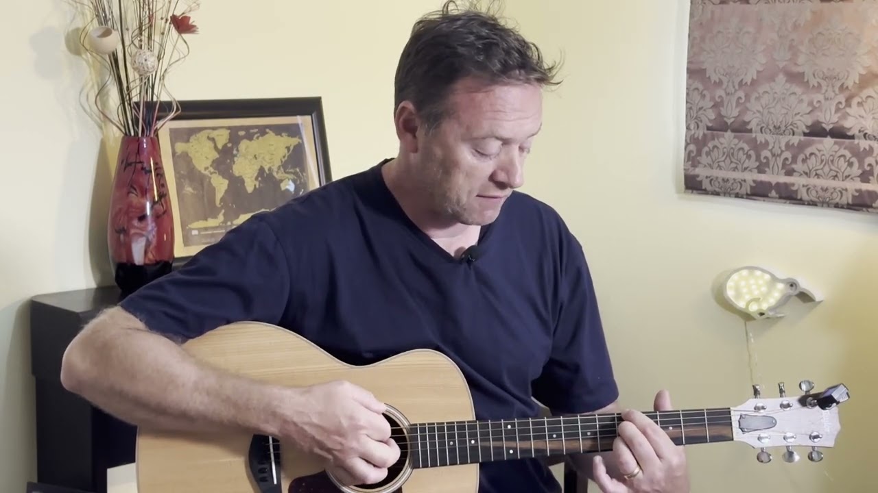 How to Play Not a pretty Girl by Ani Difranco on acoustic guitar in correct tuning
