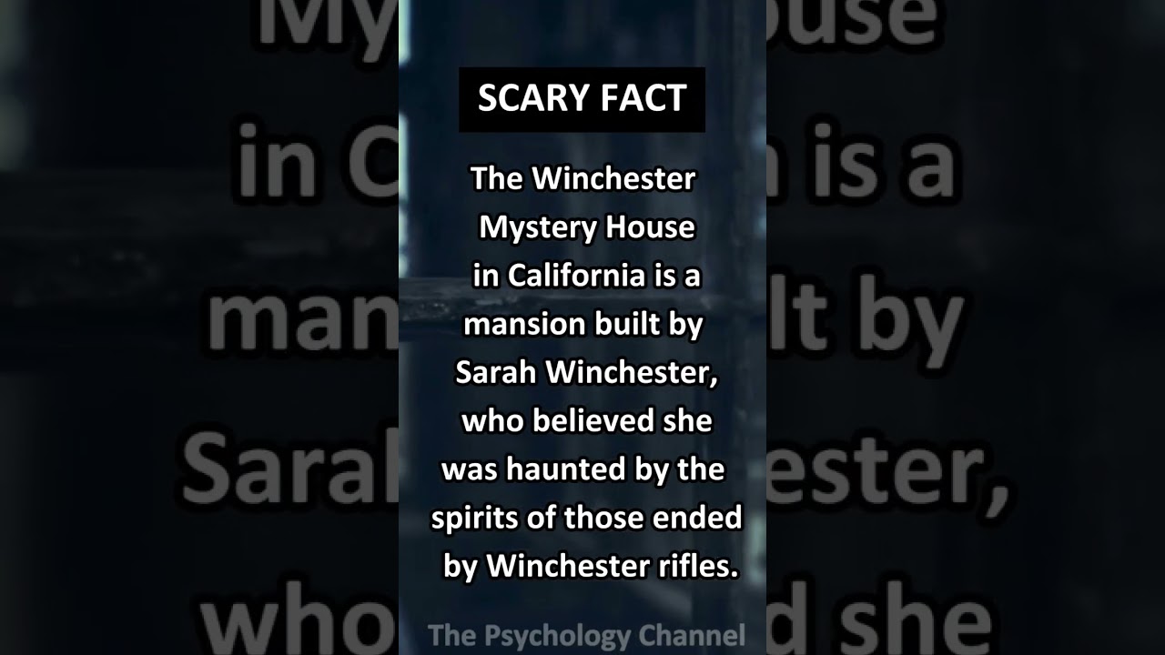 Haunted by Vengeful Spirits...#ghosts #haunted