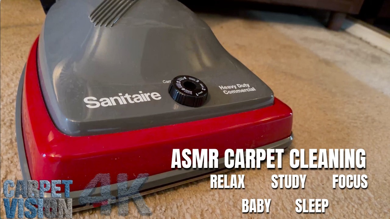 ASMR Carpet Cleaning | Dimly Lit Carpet Reset 🌙 (Sleep Now-Good Night)