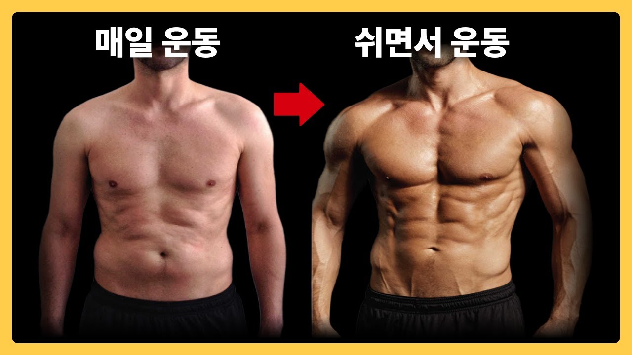매일 운동과 격일 운동 200% 차이나는 운동 방법