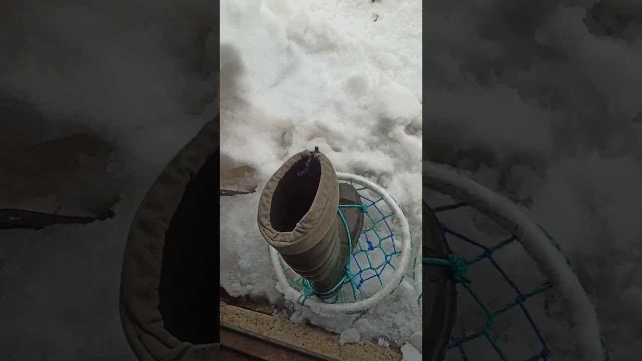 Kuruyan su geldi .