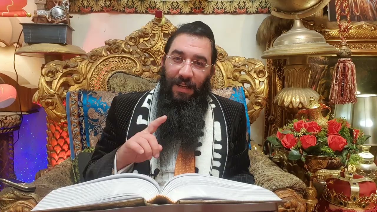 גלגול כלב