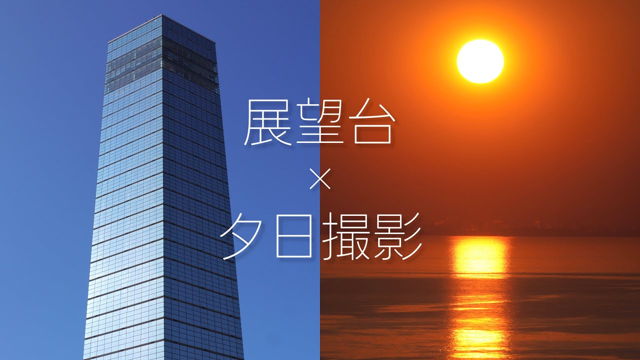 【猫回】高さ125mのポートタワーから眺める夕日が神秘的すぎた…【千葉ポートパーク】
