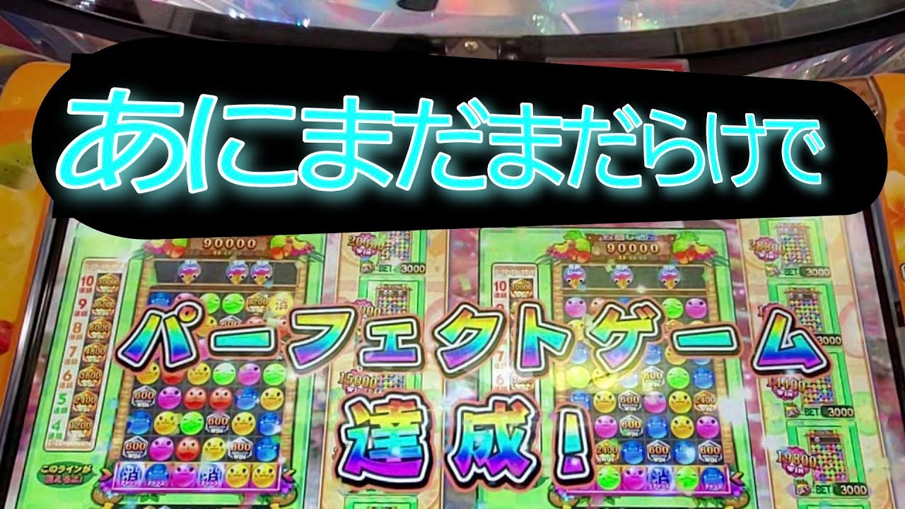 ビームの活躍ミテミタイ❗【カラコロッタトロピカルリゾート】最終手段はあにまだまだらけで挑む‼️