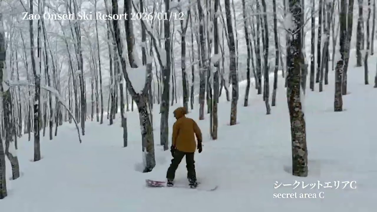2025年01月13日|蔵王温泉スキー場|横倉の壁パウダー|January 13, 2025 | Zao Onsen Ski Resort | Yokokura Powder Wall |