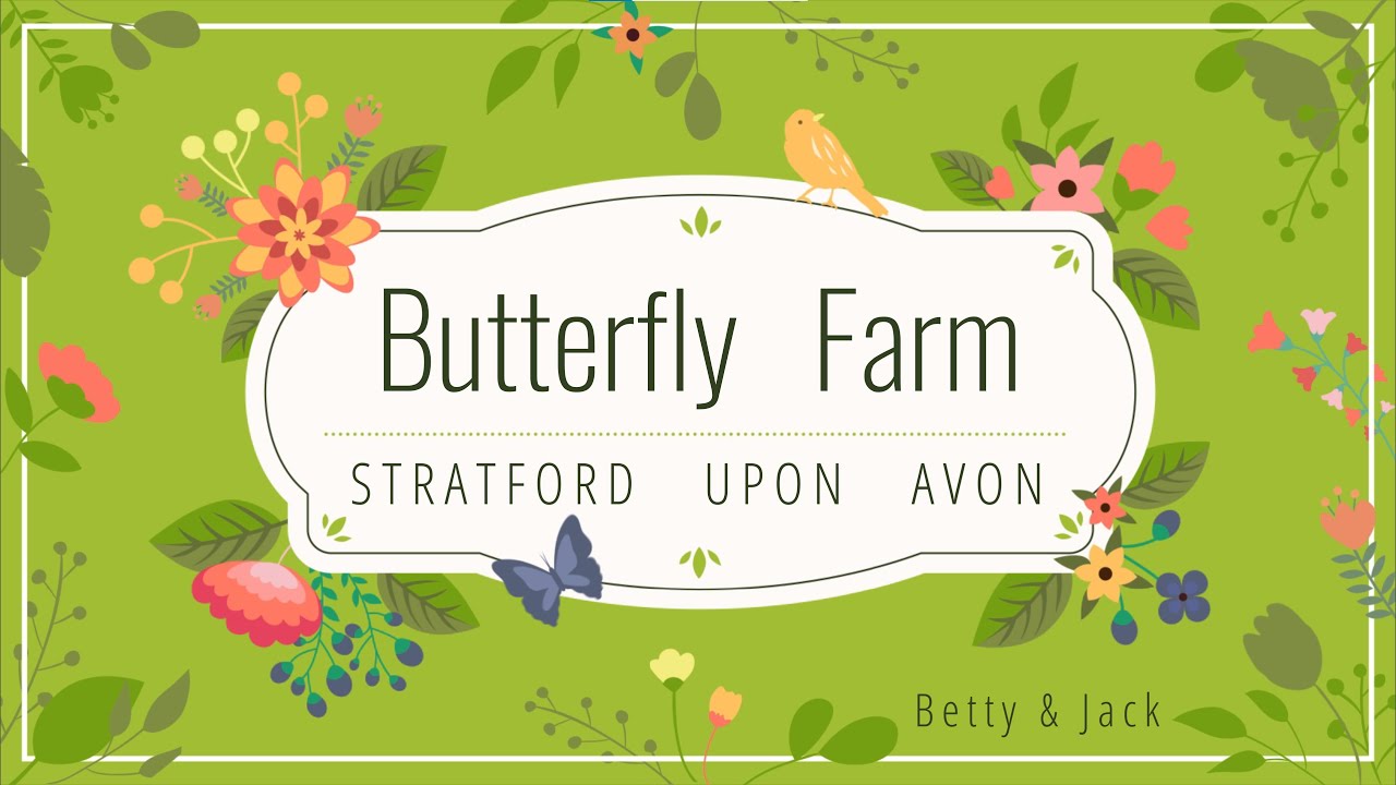 Stratford-upon-Avon  Butterfly Farm UK in 4k