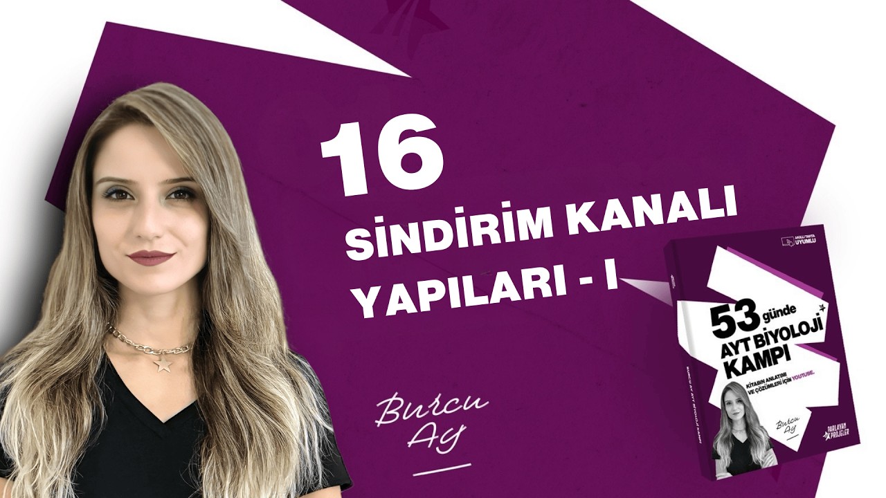 53 Günde AYT Biyoloji Kampı | 16. Gün | Sindirim Sistemi | Sindirim Kanalı Yapıları - I | 2026