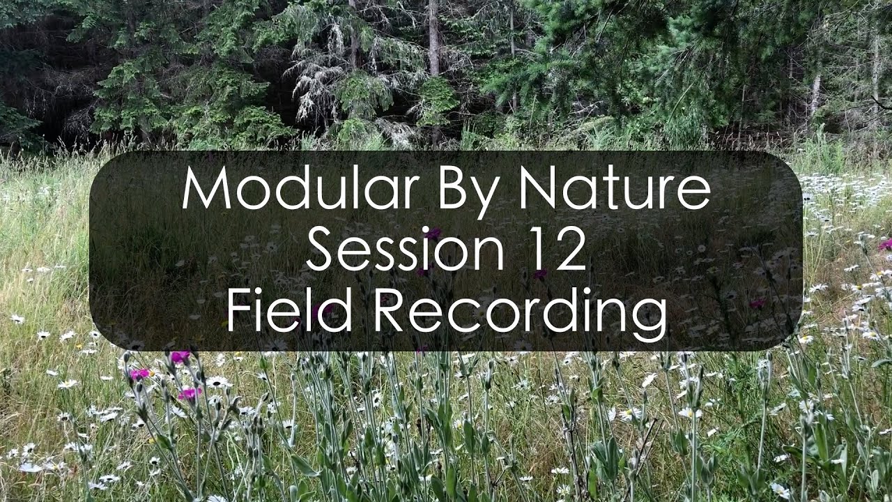 Modular By Nature - Session 12 - Field Recording