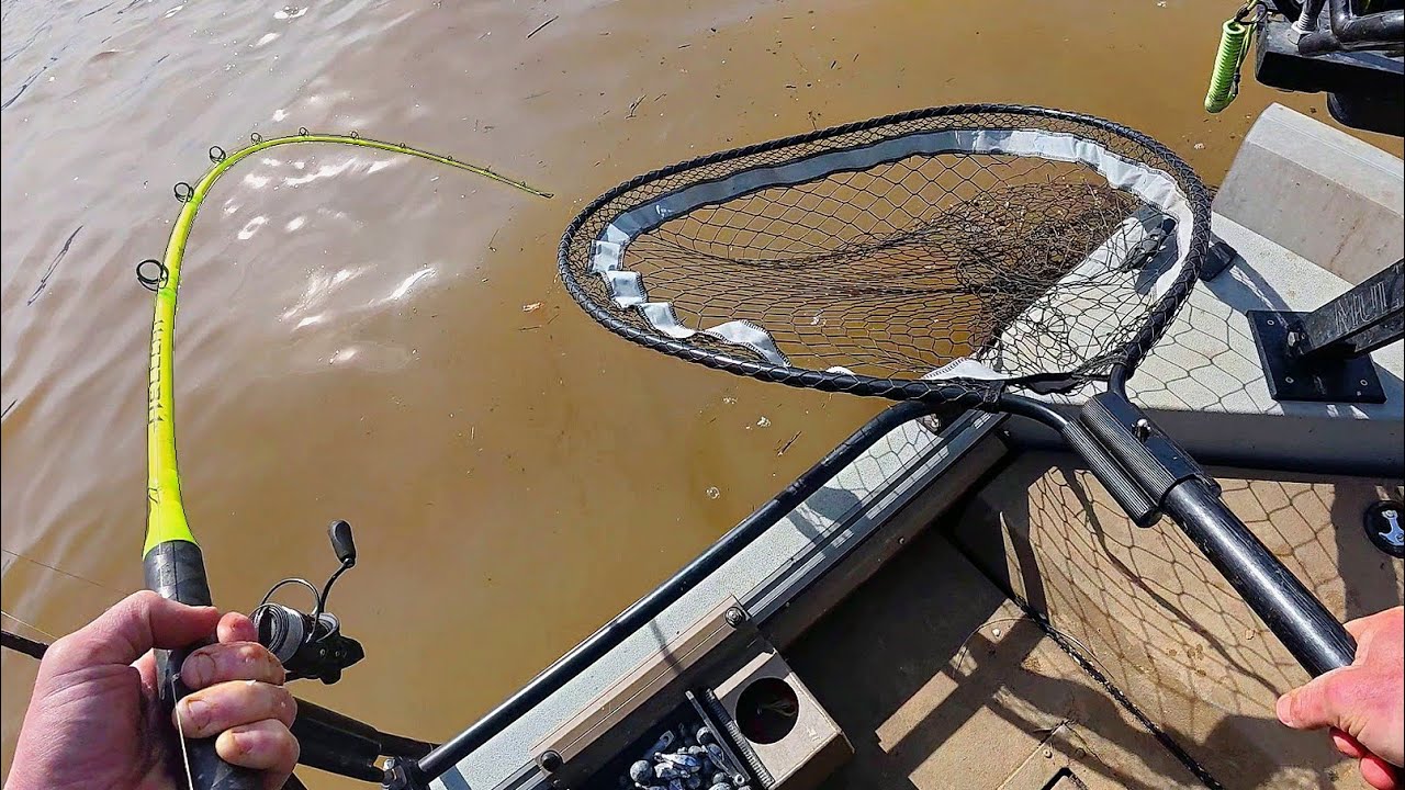 Monster Fish DESTROYS MY NET!! (Biggest of the year)