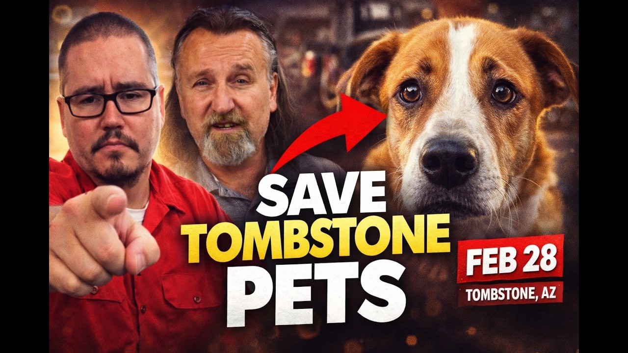 Tombstone, AZ Car & Bike Show Saves Shelter Pets Fundraiser + Adoptions!