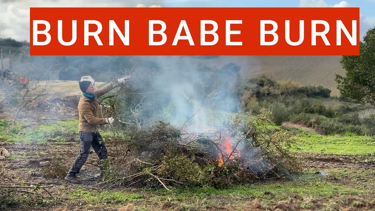 Burn babe Burn