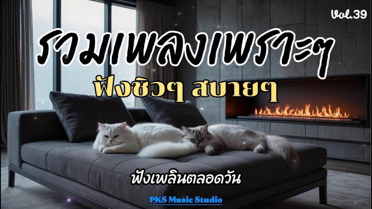 รวมเพลงเพราะๆ ใหม่ล่าสุด ฟังสบายๆ ไม่มีโฆษณาคั่น 2026