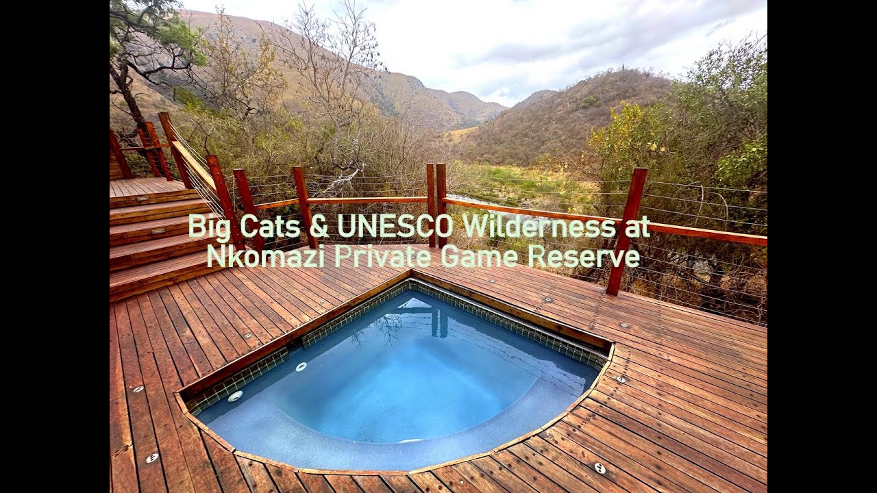 Big Cats and UNESCO Wilderness at Nkomazi Private Game Reserve