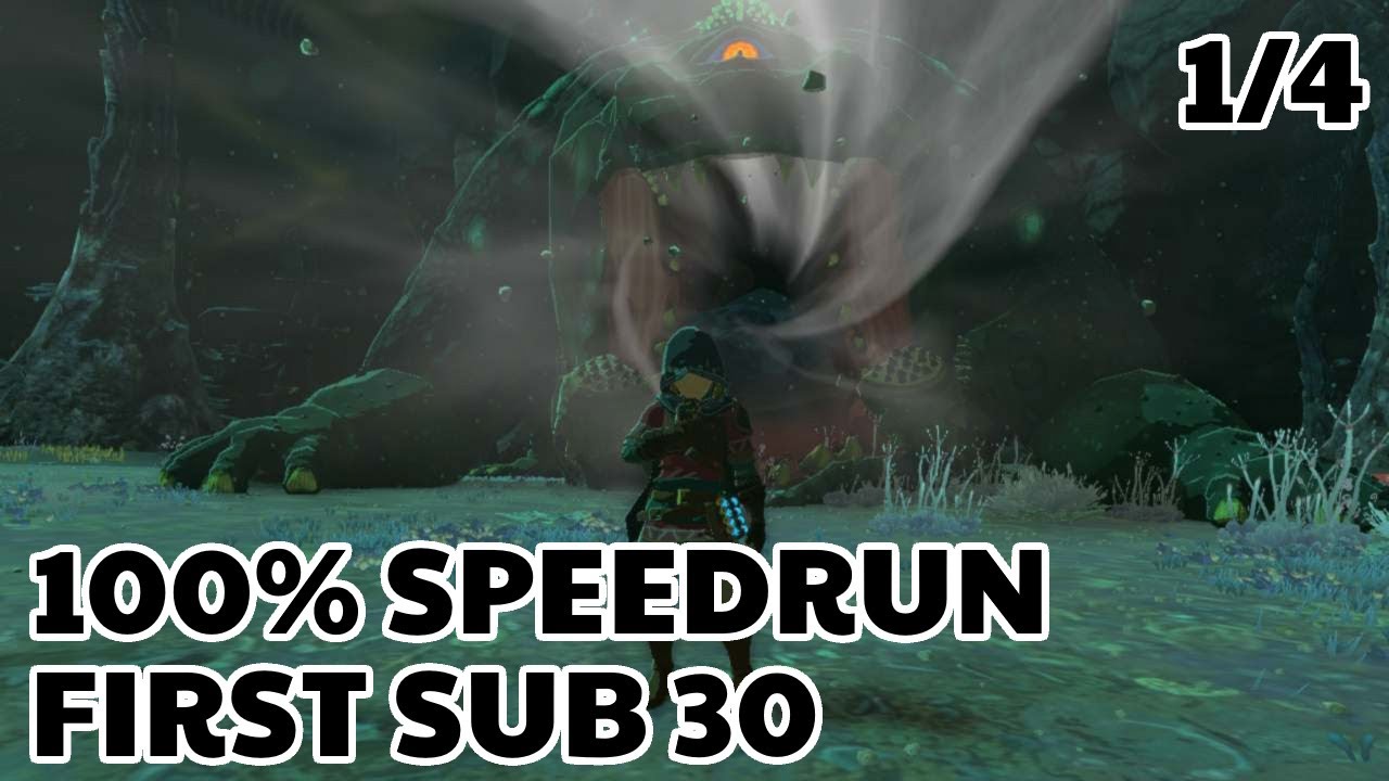 ZELDA TEARS OF THE KINGDOM 100% SPEEDRUN - 29:45:16 [FIRST SUB 30] (1/4)